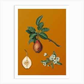 Vintage Pear Botanical on Sunset Orange n.0392 Art Print