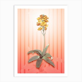 Sun Star Vintage Botanical in Peach Fuzz Awning Stripes Pattern n.0094 Art Print