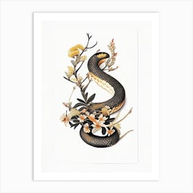 Western Coral Snake Gold And Black Art Print