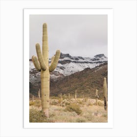 Snow Covered Desert Mountains Art Print