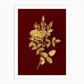 Vintage Mossy Pompon Rose Botanical in Gold on Red n.0046 Art Print