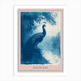 Peacock By The River Cyanotype Inspired 2 Poster Art Print