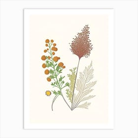 Coriander Seed Spices And Herbs Minimal Line Drawing 1 Art Print