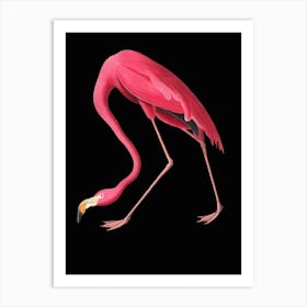 Flamingo Black Illustration Vintage Pop Art Print