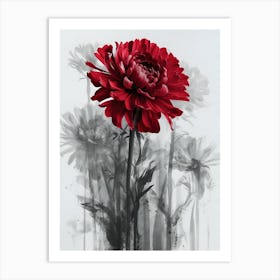 Red Chrysanthemum Art Print