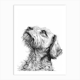 Petit Basset Griffon Vendeen Dog Line Sketch Art Print