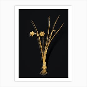 Vintage Daffodil Botanical in Gold on Black n.0144 Art Print