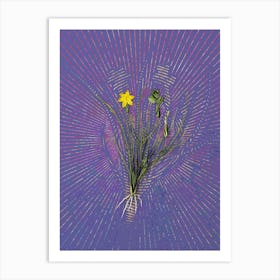 Vintage Golden Blue-eyed Grass Botanical Illustration on Veri Peri n.0026 Art Print