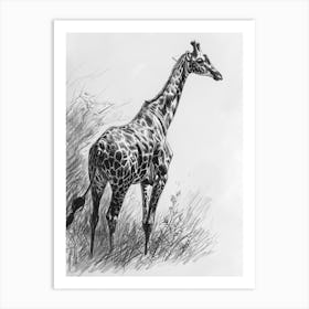 Lone Giraffe In The Wild 4 Art Print