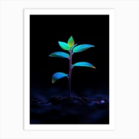 Young Plant In The Dark 10 Art Print