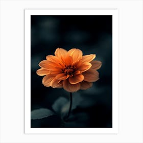 Dahlia 3 Art Print