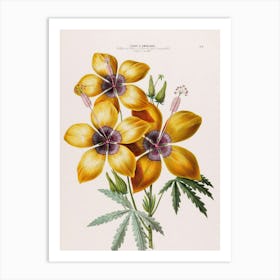 Hibiscus 23 Art Print