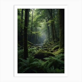 Ferns In The Forest Art Print