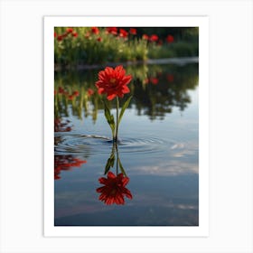 Red Flower In Water Art Print