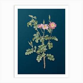 Vintage Prickly Sweetbriar Rose Botanical Art on Teal Blue n.0654 Art Print