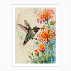 Hummingbird Drawing Art Print