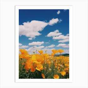 Field Of Poppies 1 Art Print