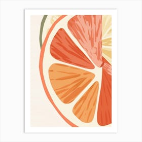 Grapefruits Close Up Illustration 4 Art Print