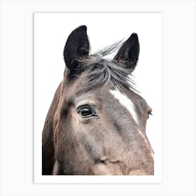 Portrait Of A Horse 1 Art Print