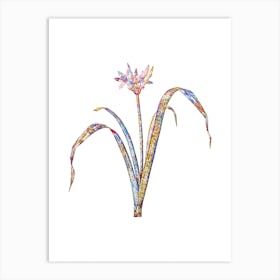 Stained Glass Small Flowered Pancratium Mosaic Botanical Illustration on White n.0344 Art Print