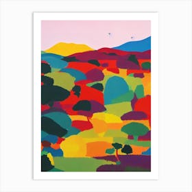 Galapagos National Park Ecuador Abstract Colourful Art Print