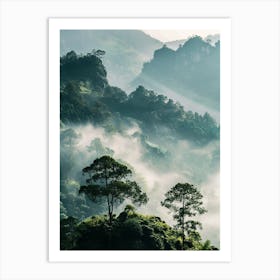 Misty Forest Art Print