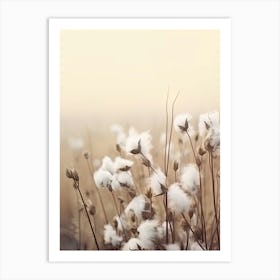 Photography  White Cotton Flowers Art Print