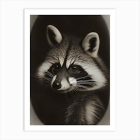Raccoon Portrait Vintage Photography Art Print
