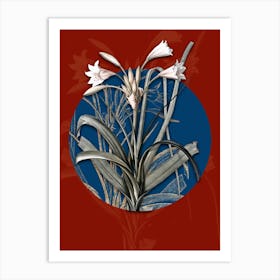 Vintage Botanical Malgas Lily on Circle Blue on Red n.0062 Art Print