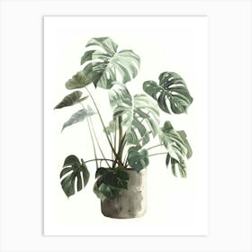 Monstera Plant 3 Art Print