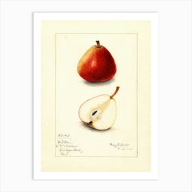 Pears 9 Art Print