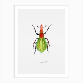 A weevil, Pseudaplemonus artemisiae, watercolor artwork Art Print