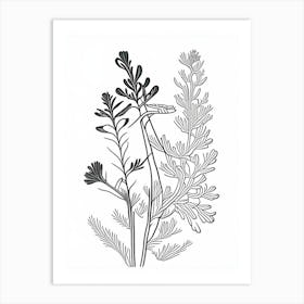 Fenugreek Herb William Morris Inspired Line Drawing 3 Art Print