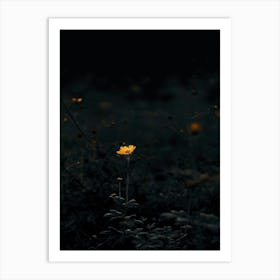 Yellow Flower In The Dark 4 Art Print