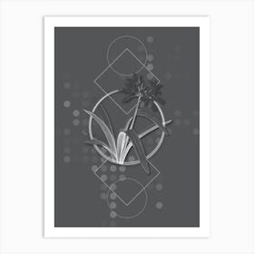 Vintage Pancratium Illyricum Botanical with Line Motif and Dot Pattern in Ghost Gray n.0313 Art Print