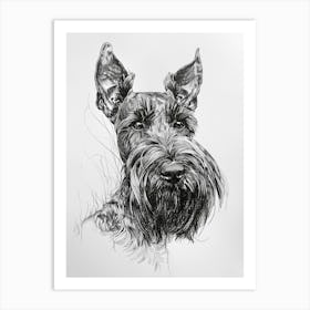 Scottish Terrier Dog Line Sketch 2 Art Print