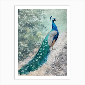 Peacock On A Path Watercolour Art Print