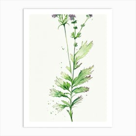 Spikenard Herb Minimalist Watercolour 1 Art Print