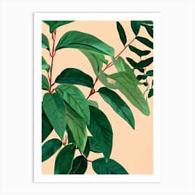 Botanical Illustration Art Print