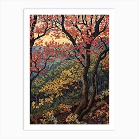 European Black Alder 2 Vintage Autumn Tree Print  Art Print