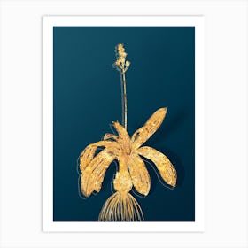 Vintage Scilla Lilio Hyacinthus Botanical in Gold on Teal Blue n.0063 Art Print