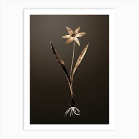 Gold Botanical Tulipa Celsiana on Chocolate Brown n.0786 Art Print