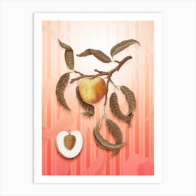 Peach Vintage Botanical in Peach Fuzz Awning Stripes Pattern n.0143 Art Print