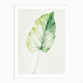 Poplar Leaf Minimalist Watercolour Art Print