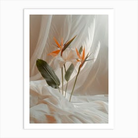 Bird Of Paradise 25 Art Print