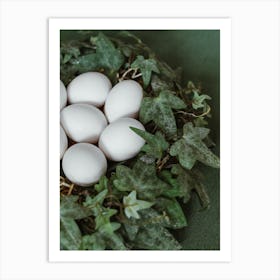 White Eggs In A Nest 2 Art Print