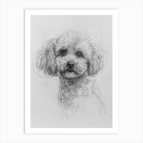 Bichon Frise Dog Charcoal Line 4 Art Print