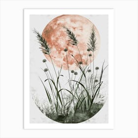 Moon And Grass Canvas Print Art Print