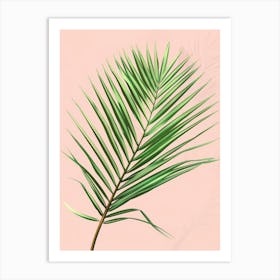 Palm Leaf On A Pink Background Art Print