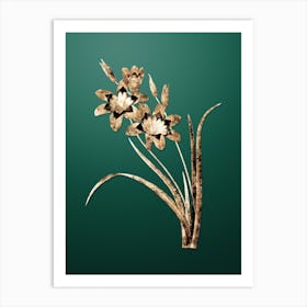 Gold Botanical Ixia Tricolore on Dark Spring Green n.1762 Art Print